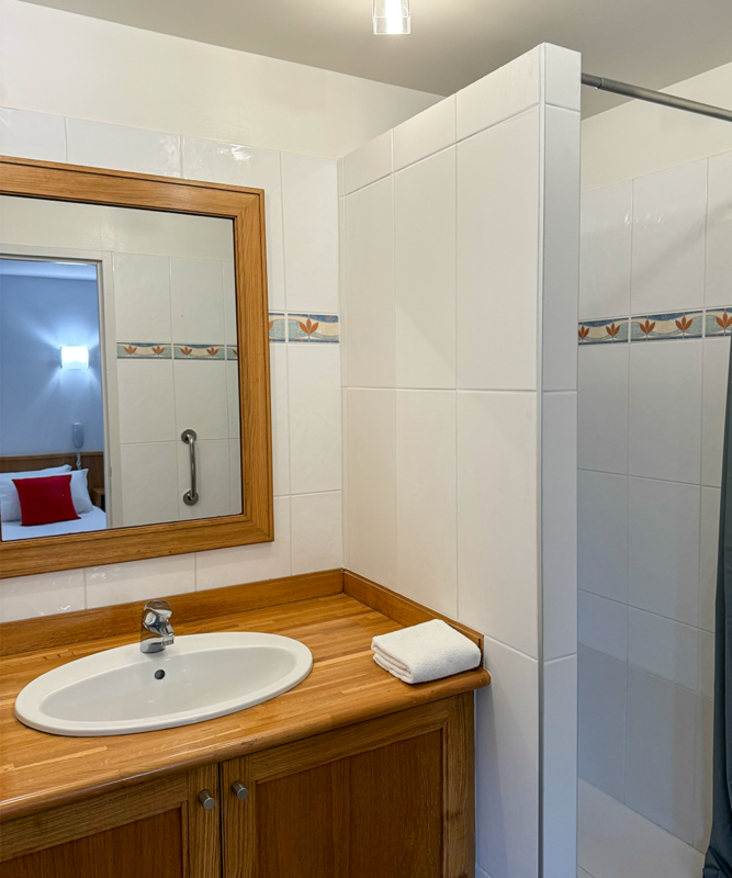 CHM STANDARD JUMEAUX/DOUBLE